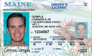 Driving license showing many data points